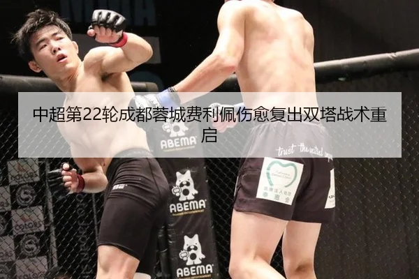 zhong-chao-di-lun-cheng-du-rong-cheng-fei-li-pei-shang-yu-fu-chu-shuang-ta-zhan-shu-chong-qi-3-333.jpg